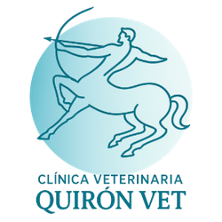 Logo del sitio web